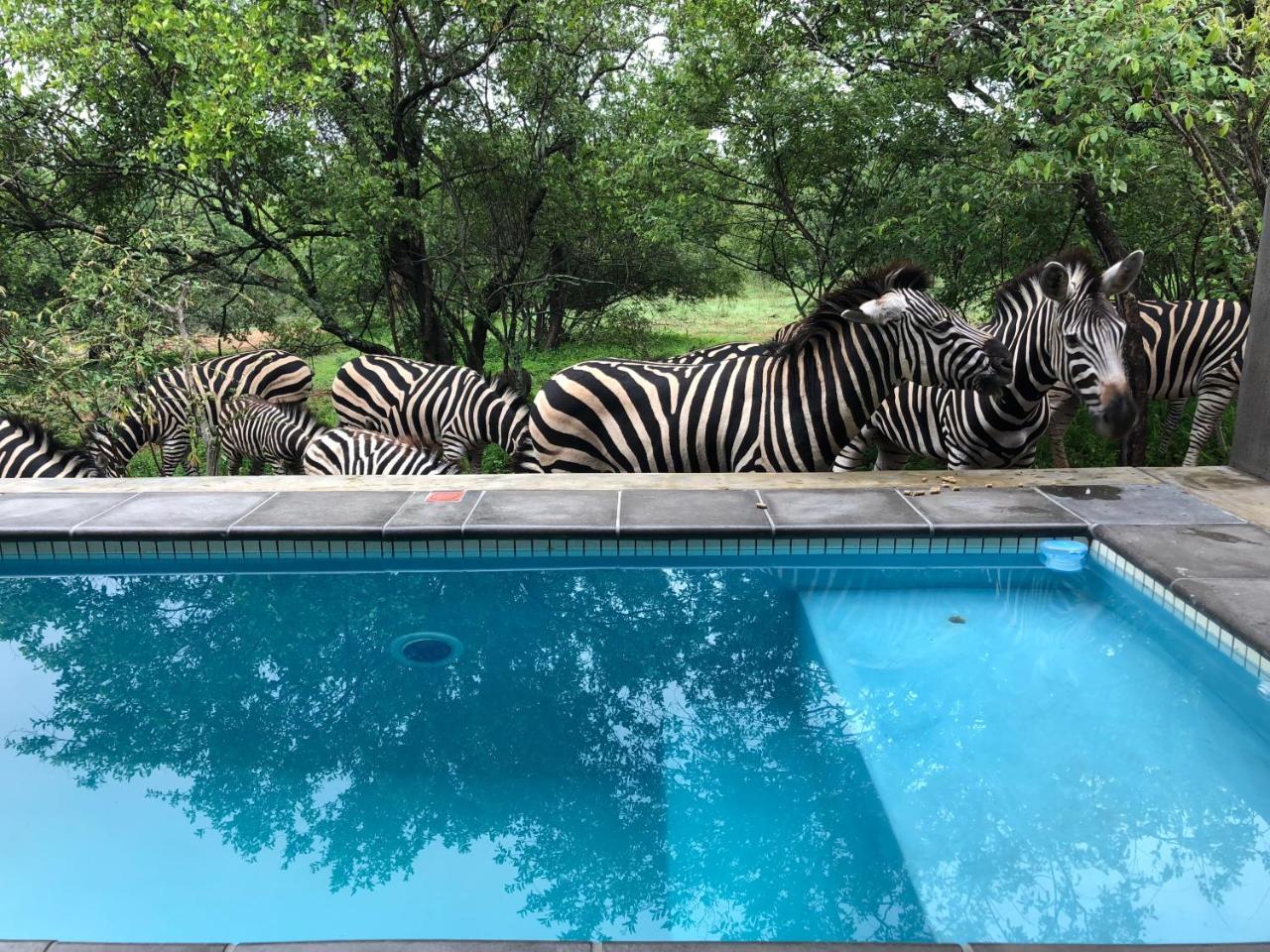 Kruger Willows Marloth Park Dış mekan fotoğraf