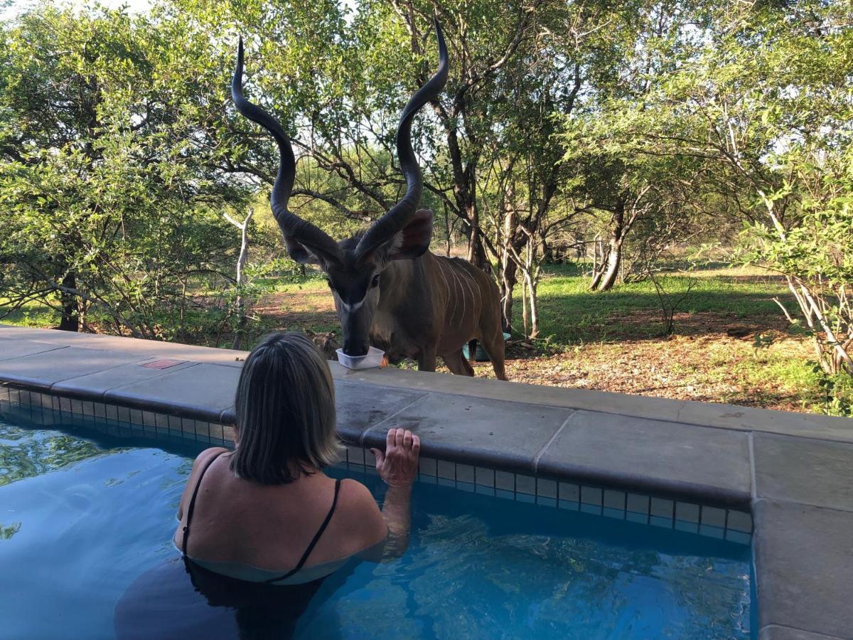 Kruger Willows Marloth Park Dış mekan fotoğraf